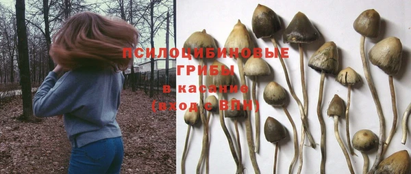 соль курить ск Майский