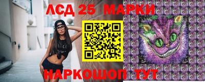 крисы Гай