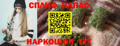 крисы Гай