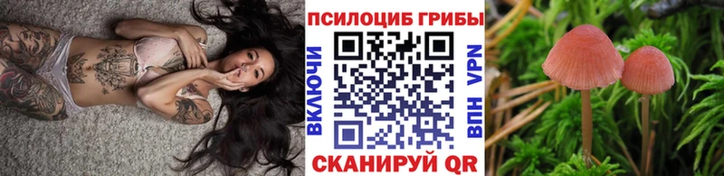 купить наркотик  гидра ссылки  Псилоцибиновые грибы Magic Shrooms  Коммунар 