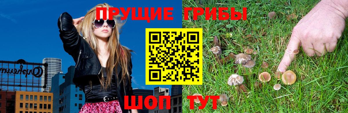 Галлюциногенные грибы прущие грибы Коммунар