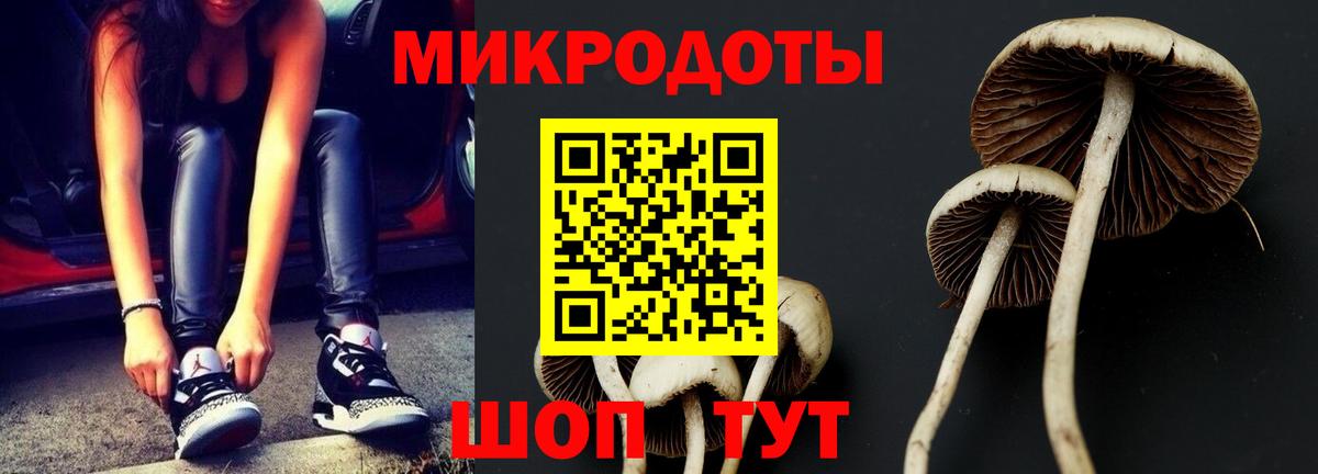 Коммунар  Псилоцибиновые грибы MAGIC MUSHROOMS  Вход с VPN  Галлюциногенные грибы Cubensis 